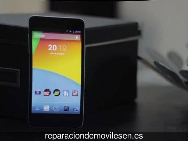 Reparación de teléfono móvil en Vinalesa
