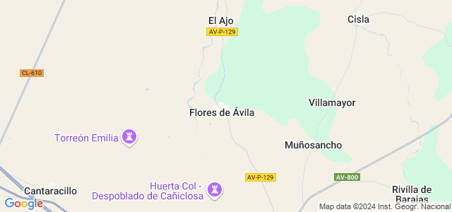 Mapa de Flores de Ávila