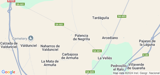 Mapa de Palencia de Negrilla