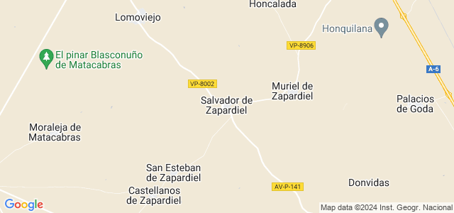 Mapa de Salvador de Zapardiel
