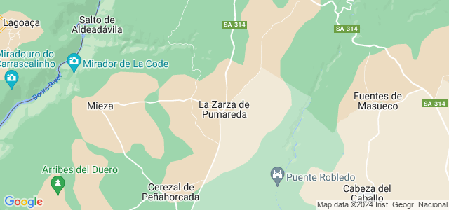 Mapa de Zarza de Pumareda