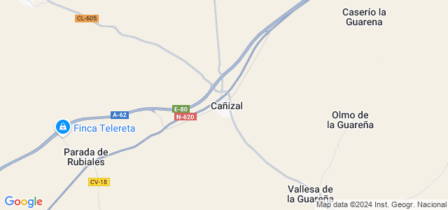 Mapa de Cañizal