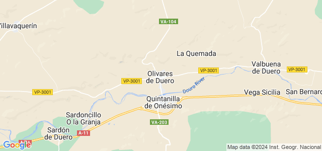 Mapa de Olivares de Duero