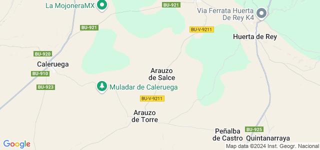 Mapa de Arauzo de Salce