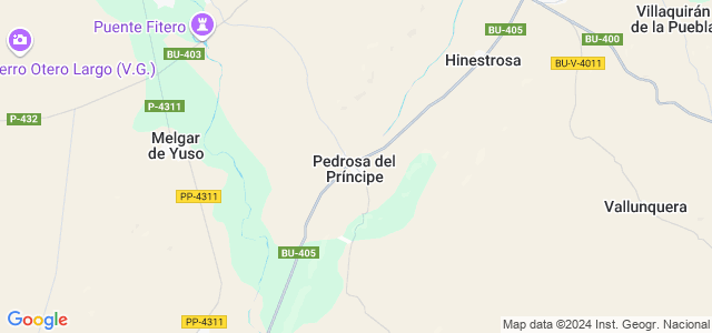 Mapa de Pedrosa del Príncipe