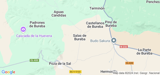 Mapa de Salas de Bureba