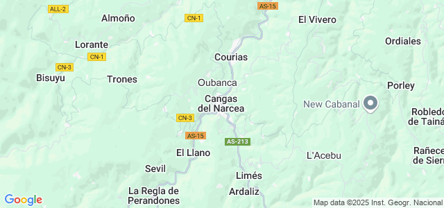 Mapa de Cangas del Narcea